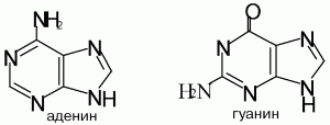 Аденин (6-аминопурин) – бесцветное кристаллическое
