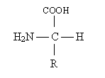 : COOH
 ç
 H2N ¾ C ¾ H
 ç
 R 

