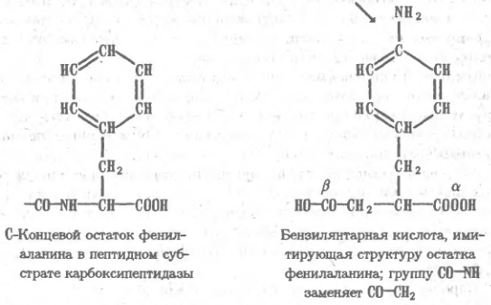 D:\\24.jpg